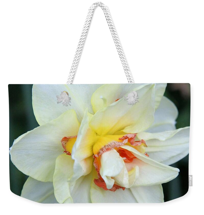 Daffodil Weekender Tote Bag featuring the photograph Pretty Girl by Christiane Schulze Art And Photography