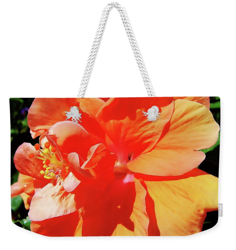 Hibiscus Weekender Tote Bag featuring the photograph Pretty In Orange by D Hackett