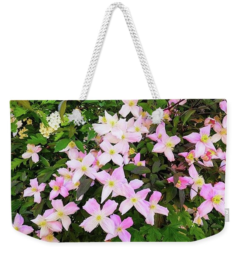 Abundance Weekender Tote Bag featuring the photograph Pretty In Pink by Rowena Tutty