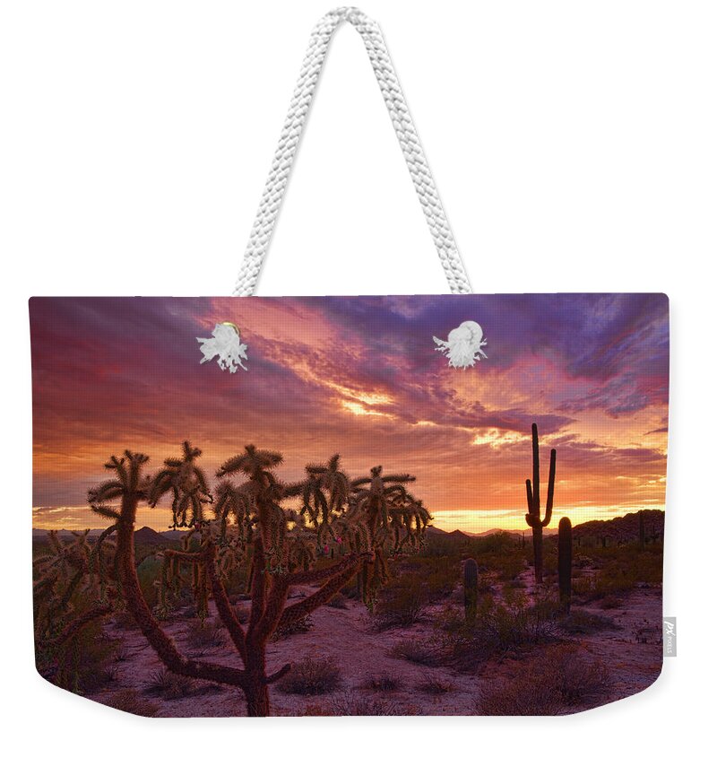 Saguaro Sunset Weekender Tote Bag featuring the photograph Pretty in Pink Desert Skies by Saija Lehtonen