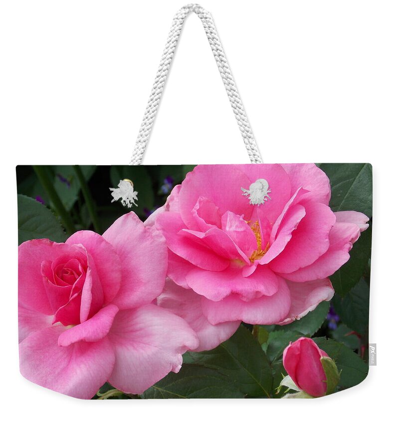 Bridge Of Flowers Weekender Tote Bag featuring the photograph Pretty in Pink Duo by Catherine Gagne