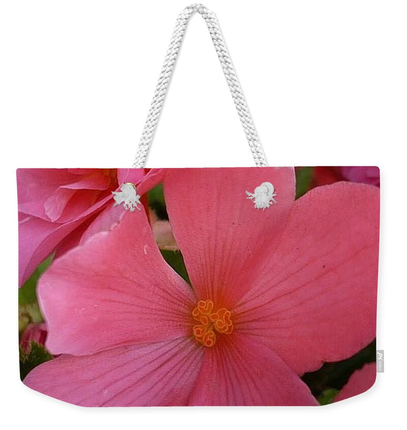 Pink Weekender Tote Bag featuring the photograph Pretty in Pink by 'REA' Gallery