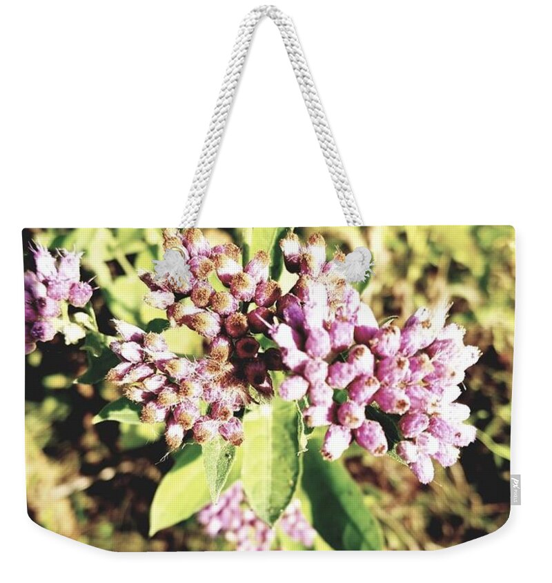 Pink Weekender Tote Bag featuring the photograph Pretty in pink by Samantha Womack