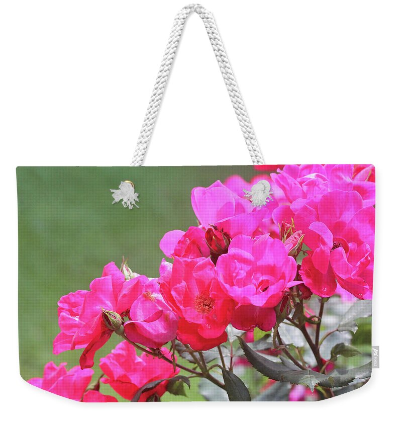 Flowers Weekender Tote Bag featuring the photograph Pretty Pink Roses by Trina Ansel