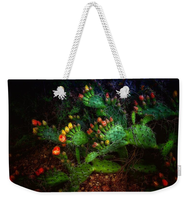 Cactus Weekender Tote Bag featuring the photograph Pretty Prickly by Hans Brakob