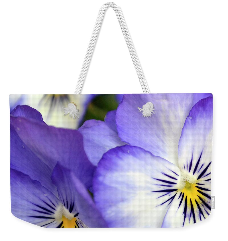 Background Weekender Tote Bag featuring the photograph Pretty Violas by Ann Bridges
