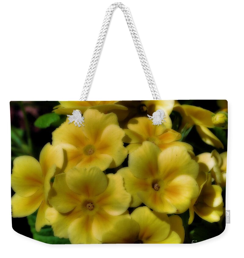 Primrose Weekender Tote Bag featuring the photograph Pretty Yellow Primrose Flowers by Smilin Eyes Treasures