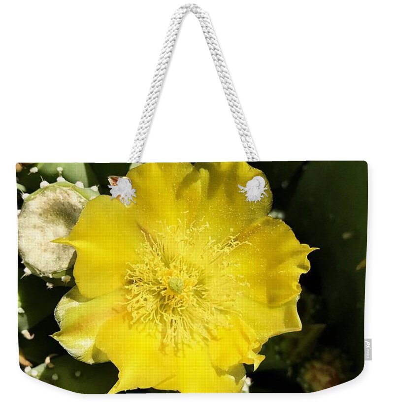 Prickly Pear Weekender Tote Bag featuring the photograph Prickly Pear And The Bee by Brad Hodges