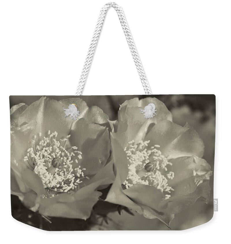 Prickly Pear Weekender Tote Bag featuring the photograph Prickly Pear Blooms in Sepia by Kathy Clark