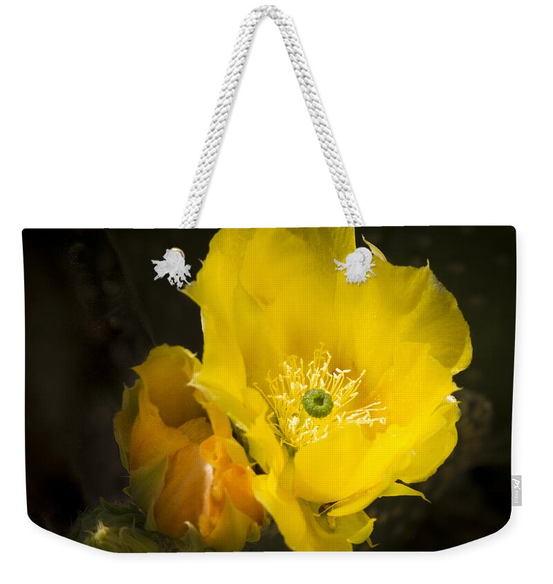 Cactus Flower Weekender Tote Bag featuring the photograph Prickly Pear Cactus Bloom by Jean Noren