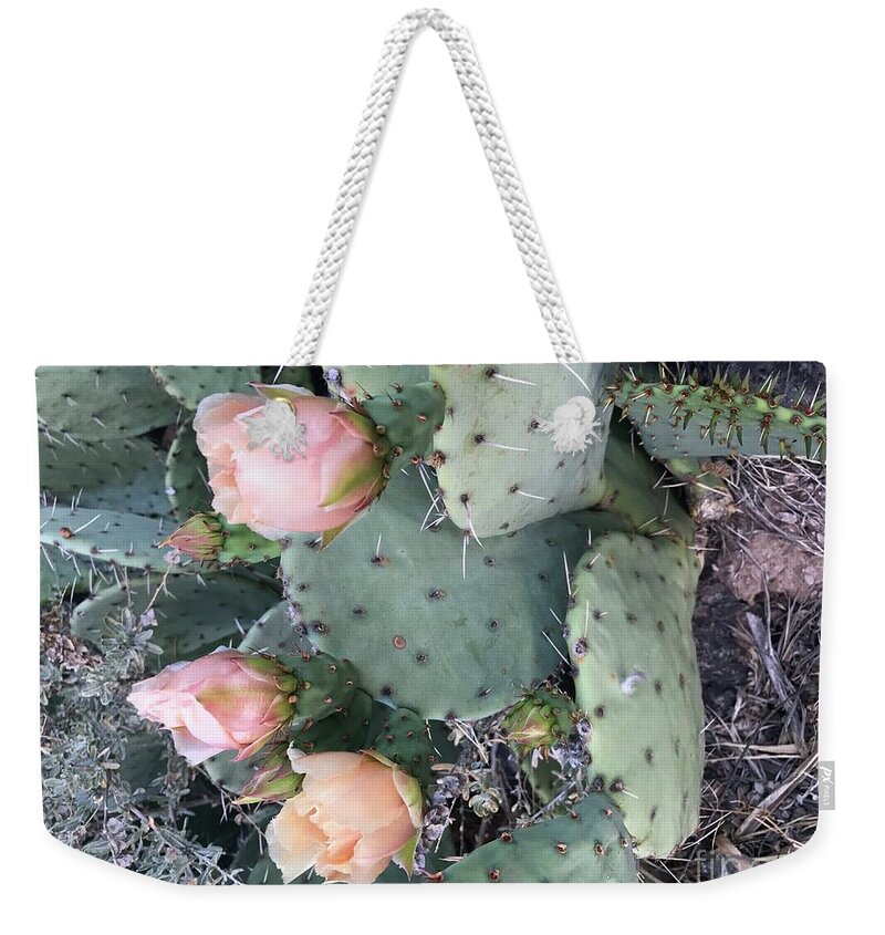 Cactus Prickly Pear Flower Weekender Tote Bag featuring the photograph Prickly Pear by Erika Jean Chamberlin