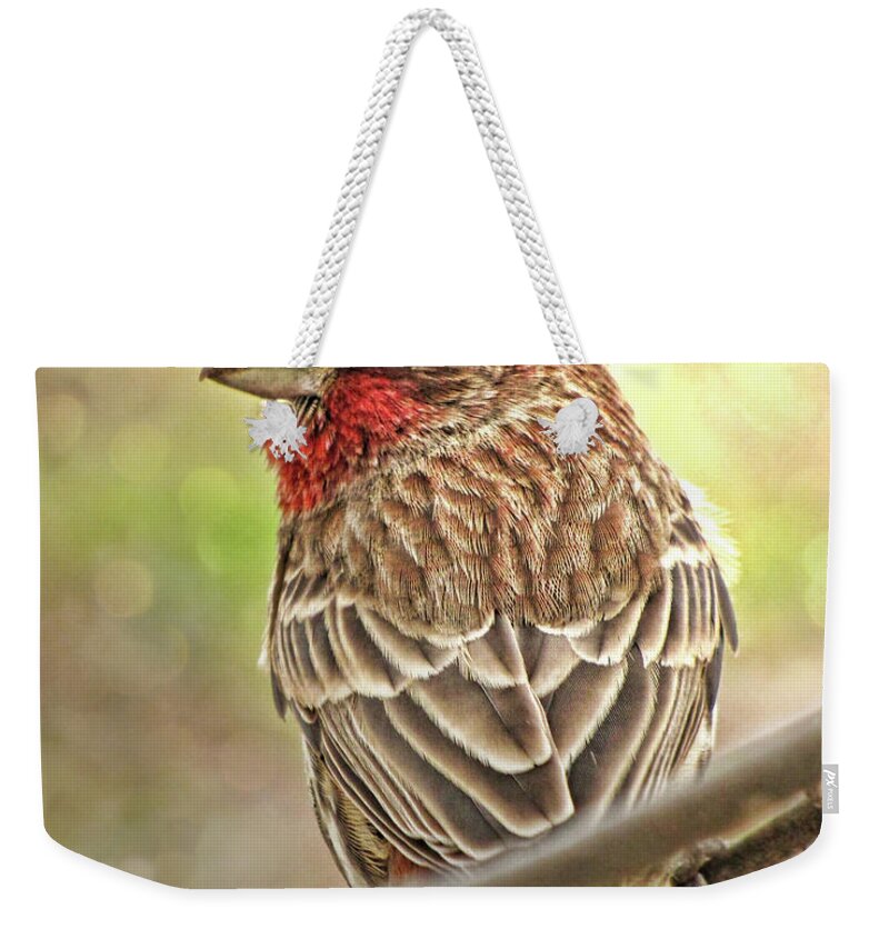 Nature Weekender Tote Bag featuring the photograph Prince by Debbie Portwood
