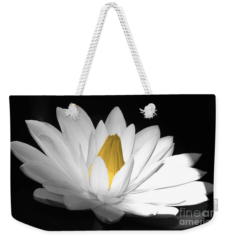 Flora Weekender Tote Bag featuring the photograph Pristine by Cindy Manero