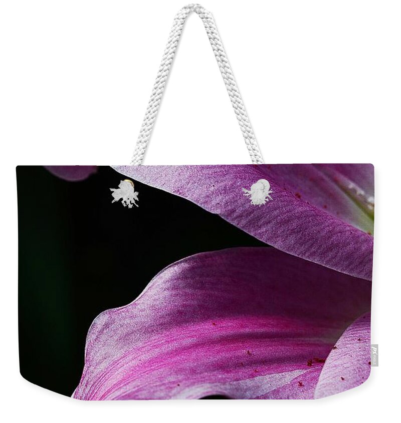 Lily Weekender Tote Bag featuring the photograph Profile in Pink by Cindy Manero