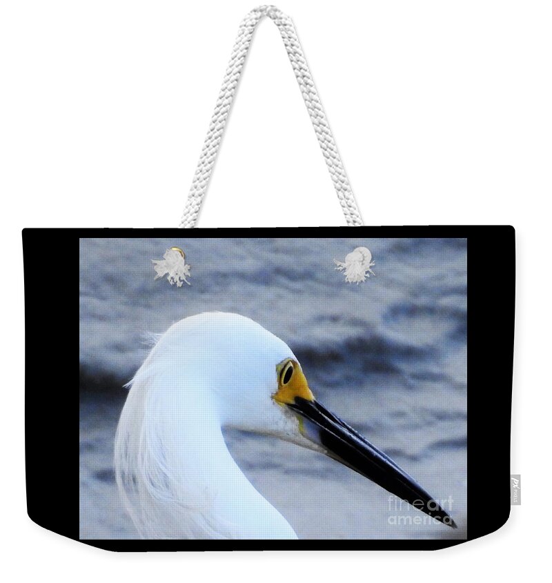 Coastal Birds Weekender Tote Bag featuring the photograph Profile Of Beauty by Jan Gelders