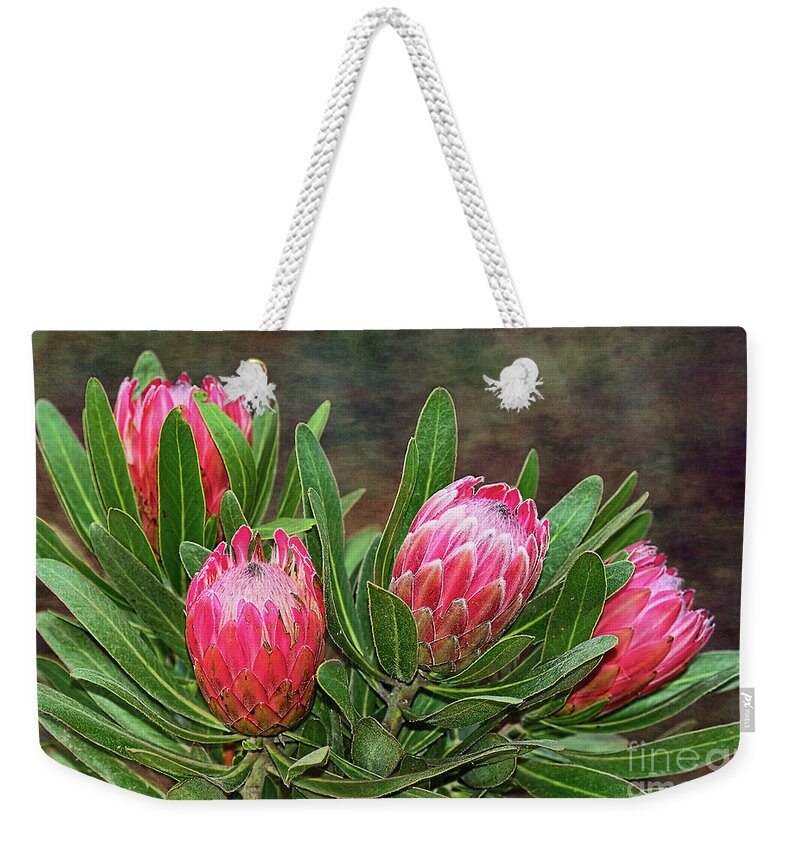 Proteas In Bloom Weekender Tote Bag featuring the photograph Proteas in Bloom by Kaye Menner by Kaye Menner