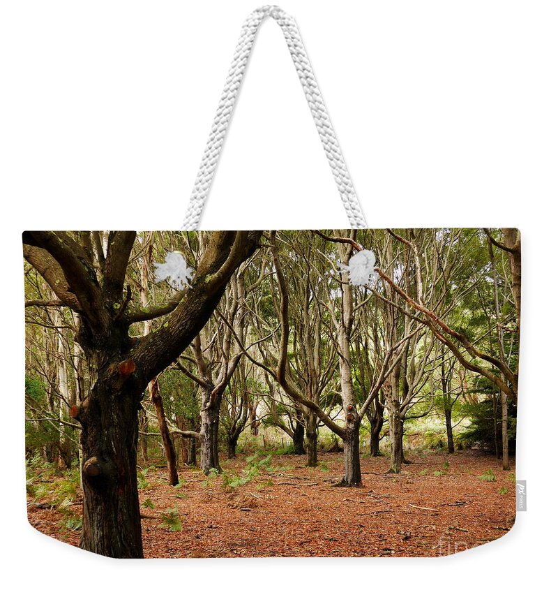 Beautiful And Bold Australian Trees By Lexa Harpell Weekender Tote Bag featuring the photograph Protection by Lexa Harpell