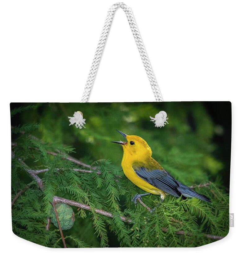 Nature Weekender Tote Bag featuring the photograph Prothonatory Warbler 9809 by Donald Brown