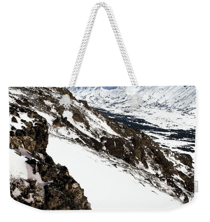 #daylike Weekender Tote Bag featuring the photograph Ptarmigan in Moonlight by Tim Newton