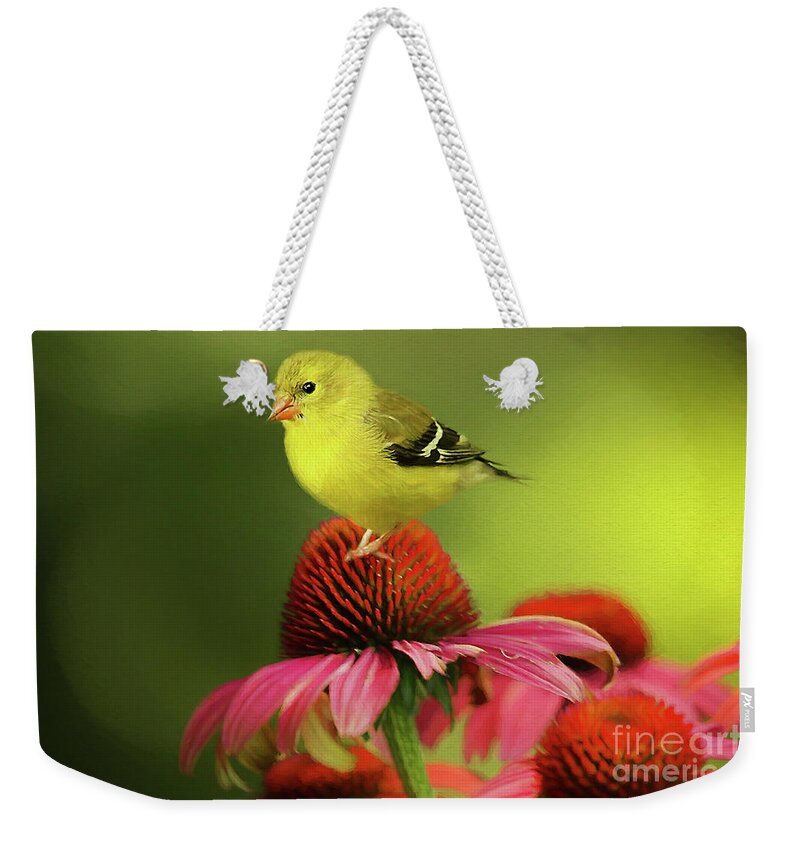 Puff Ball Of A Goldfinch Weekender Tote Bag featuring the photograph Puff Ball of a Goldfinch by Darren Fisher