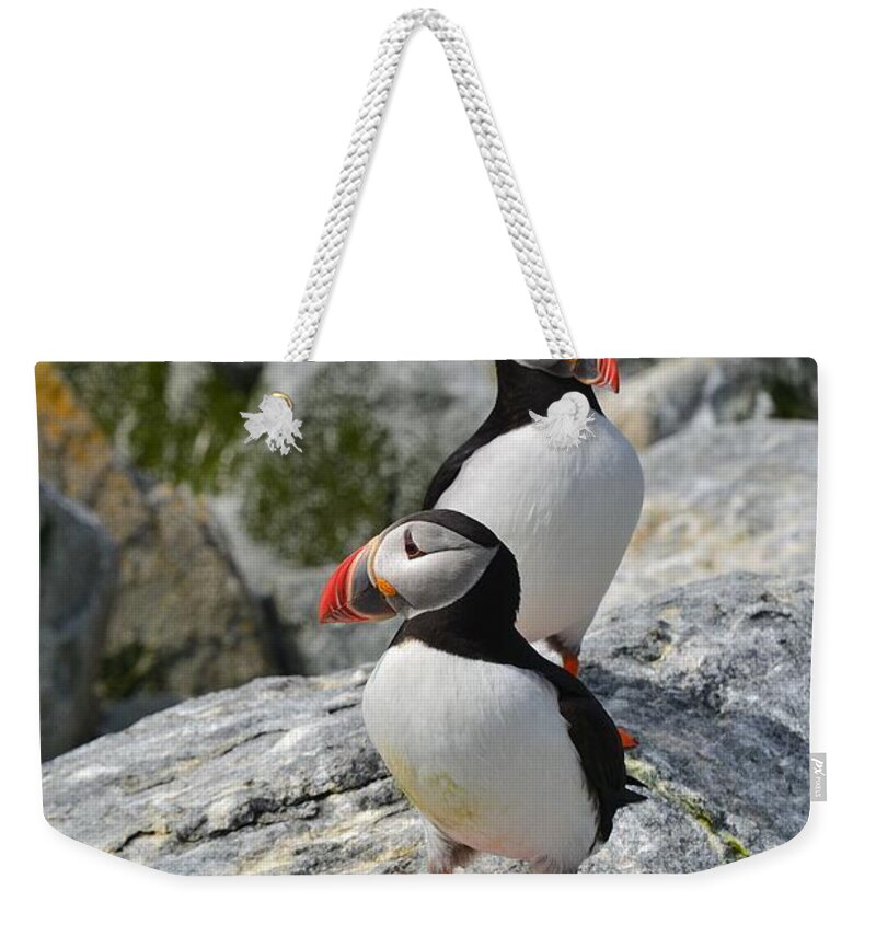 Puffins Weekender Tote Bag featuring the photograph Puffins by Steve Brown