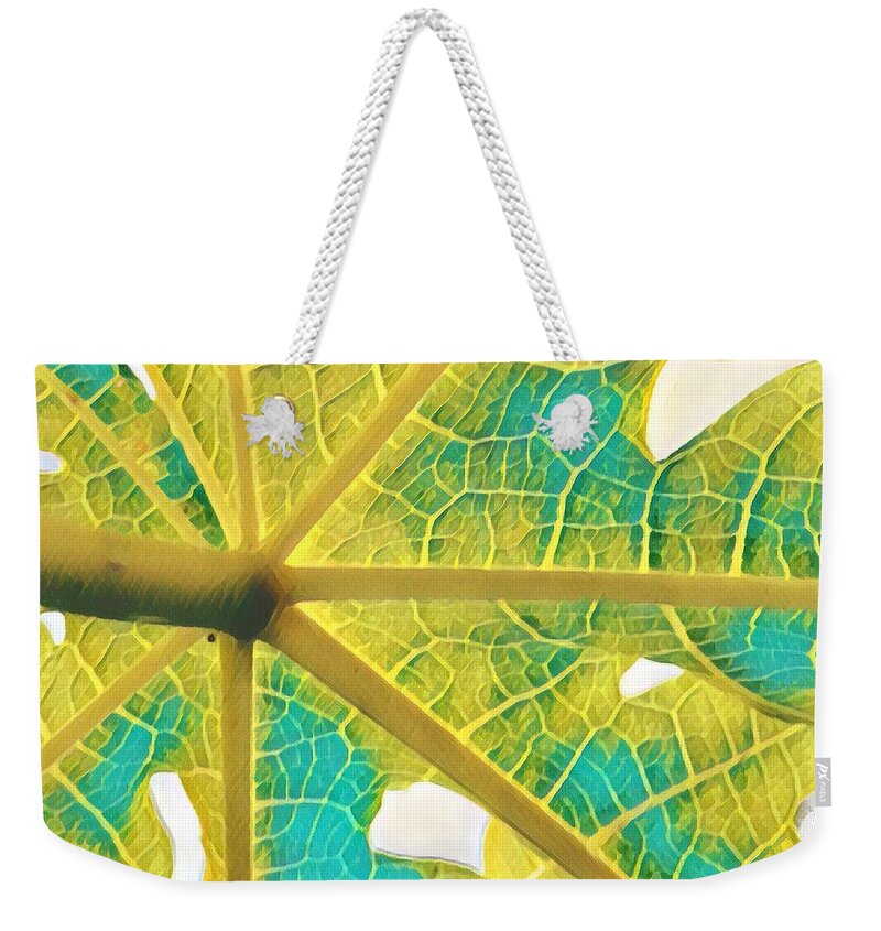 #flowersofaloha #papaya #leaf #puna #turquoise Weekender Tote Bag featuring the photograph Puna Papaya Leaf by Joalene Young