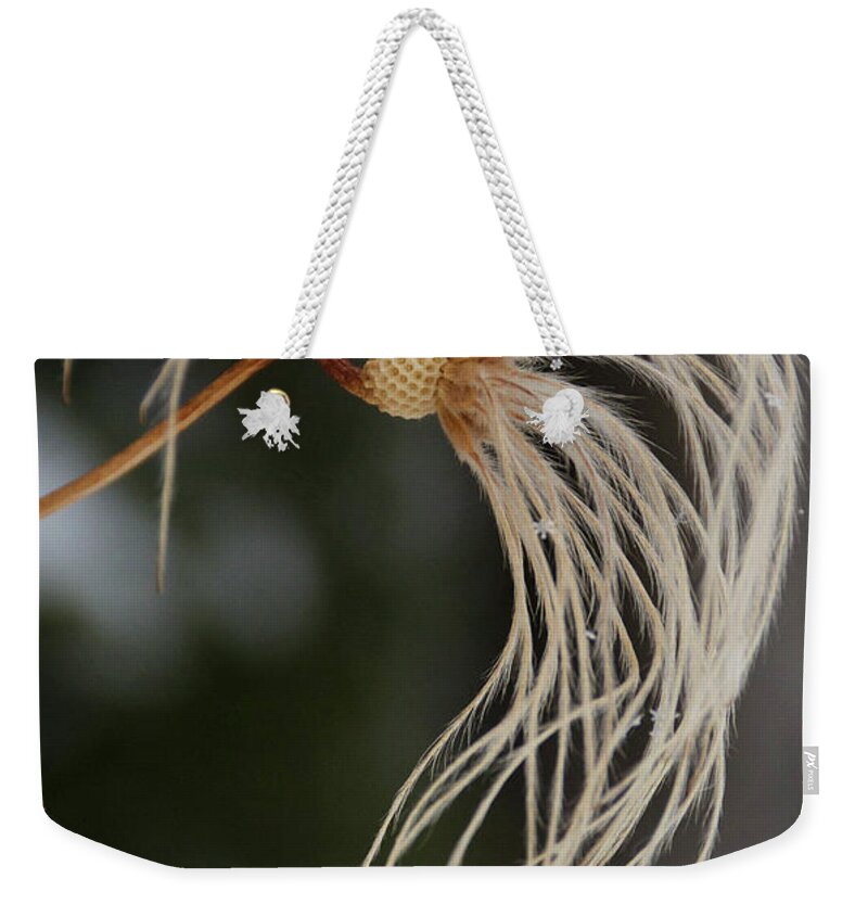 Winter Weekender Tote Bag featuring the photograph Punk by Ellery Russell