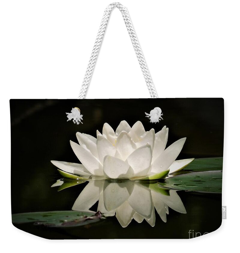 Pure Weekender Tote Bag featuring the photograph Pure and White by Chad and Stacey Hall