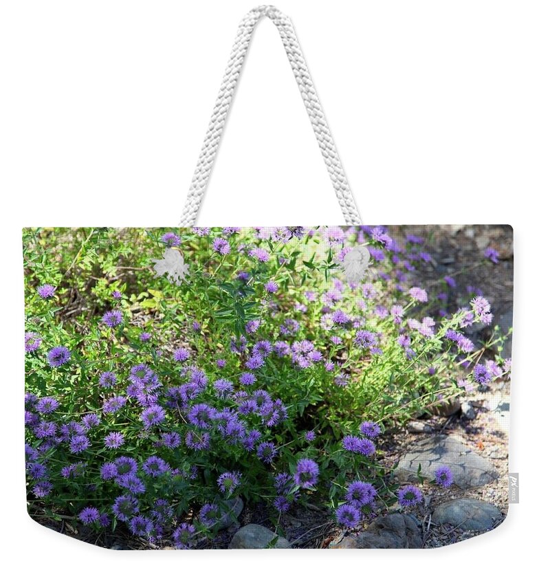 Plants Weekender Tote Bag featuring the photograph Purple Bachelor Button Flower by Portraits By NC