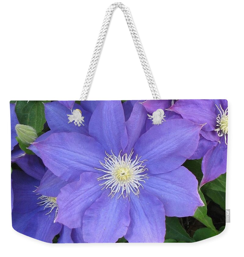 Flowers Weekender Tote Bag featuring the photograph Purple Beauty by Ed Smith