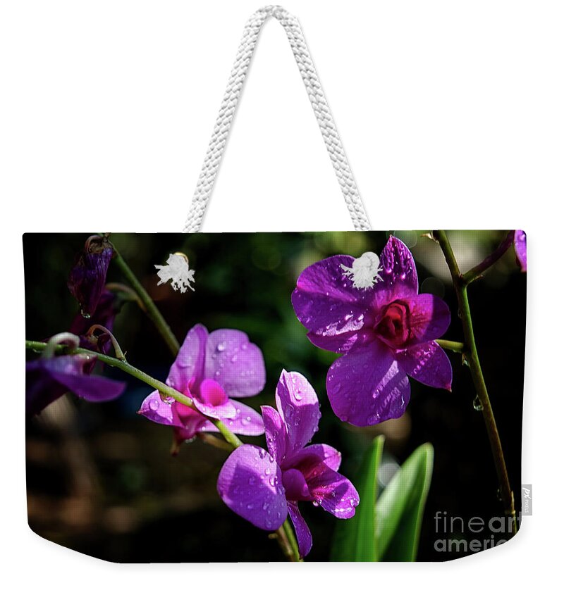 Michelle Meenawong Weekender Tote Bag featuring the photograph Purple Beauty by Michelle Meenawong