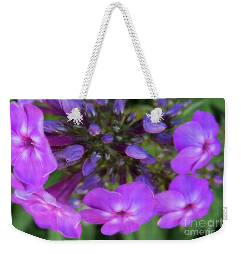 Purple Weekender Tote Bag featuring the photograph Purple Burst by Christy Garavetto