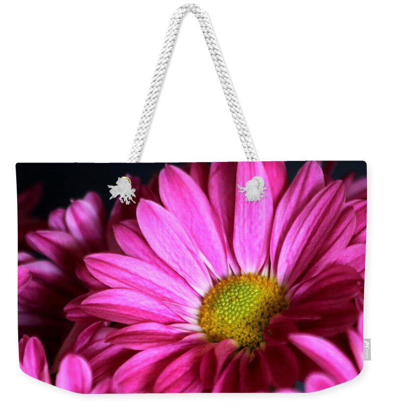 Nature Weekender Tote Bag featuring the photograph Purple Chrysanthemum Close-up by Sheila Brown
