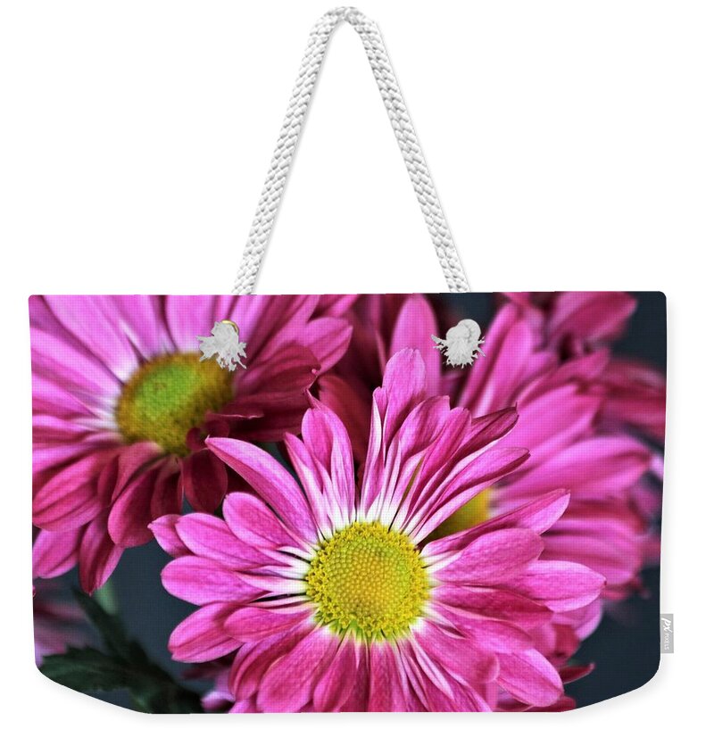 Nature Weekender Tote Bag featuring the photograph Purple Chrysanthemums by Sheila Brown