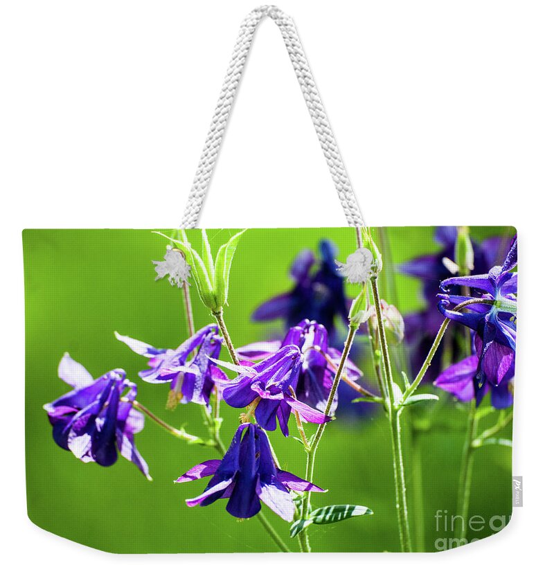 Purple Weekender Tote Bag featuring the photograph Purple Columbine #2 by Kevin Gladwell