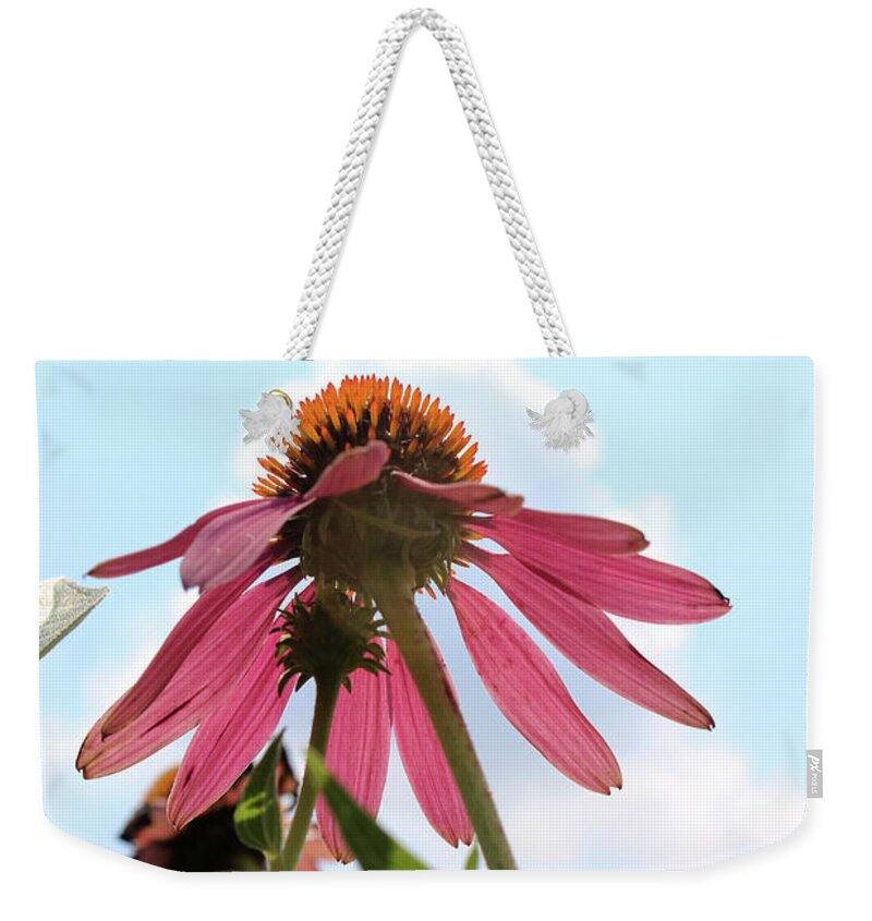 Echinacea Purpurea Weekender Tote Bag featuring the photograph Purple Coneflower Summer Beauty by Adam Long