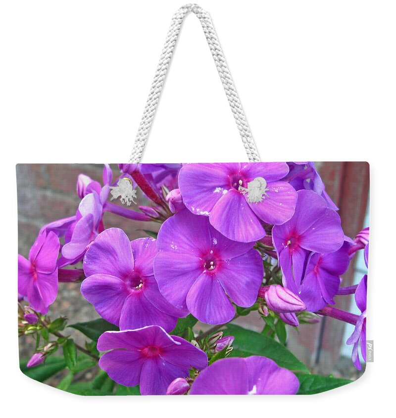 Floral Weekender Tote Bag featuring the photograph Purple Flame Phlox by Barbara McDevitt