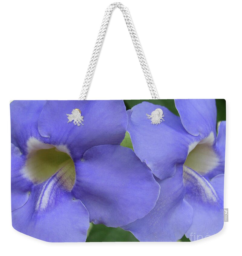 Flower Poster Weekender Tote Bag featuring the photograph Purple Flower Picture Perfect by Roberta Byram