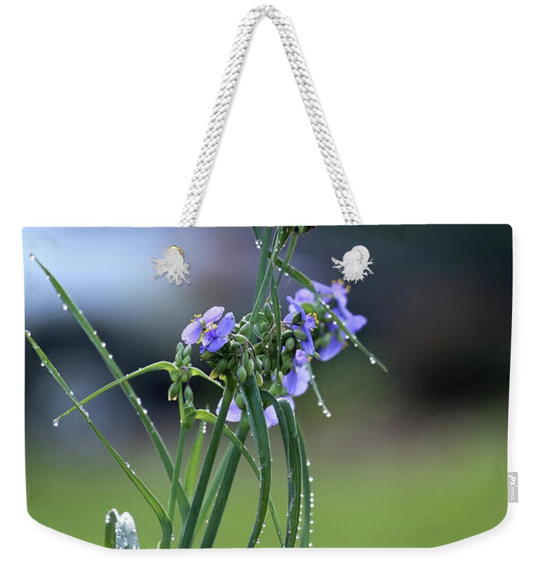 Purple Weekender Tote Bag featuring the photograph Purple Flowers After Rain by Theresa Campbell