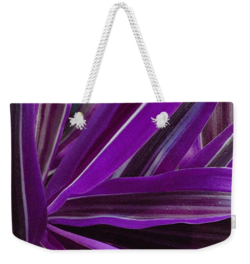 Leaves Weekender Tote Bag featuring the photograph Purple Fronds by Carolyn Jacob