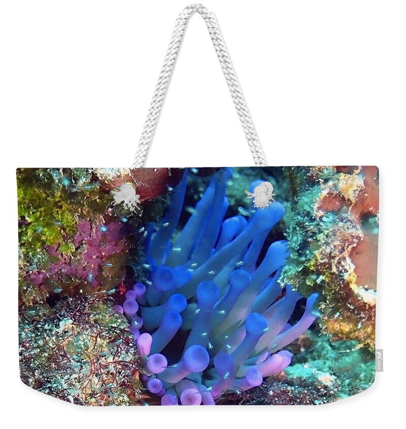 Anemone Weekender Tote Bag featuring the photograph Purple Giant Sea Anemone by Amy McDaniel