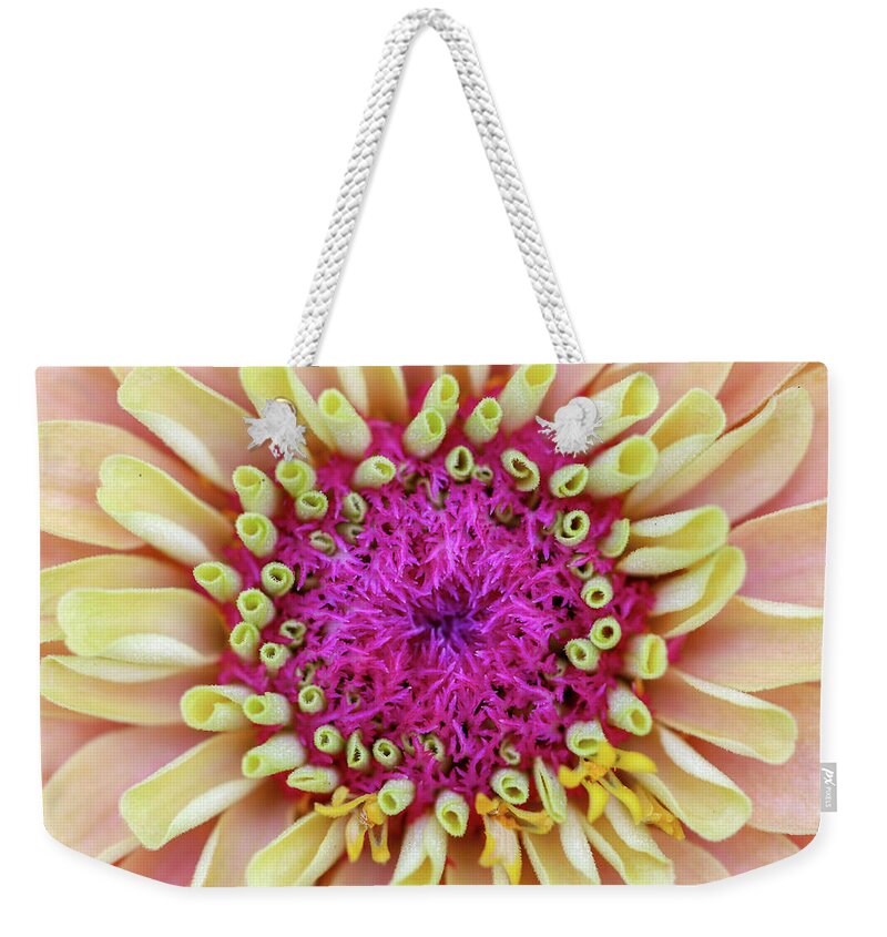 Macro Weekender Tote Bag featuring the photograph Purple Intervening by Mary Anne Delgado