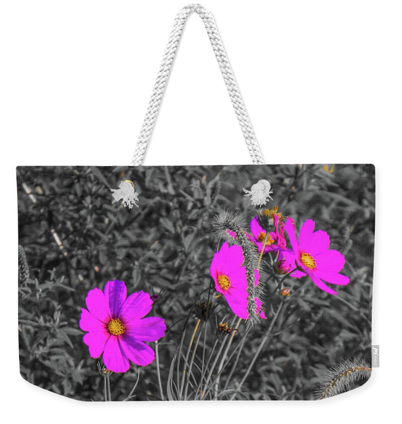 Parkersburg Weekender Tote Bag featuring the photograph Purple Invasion by Jonny D