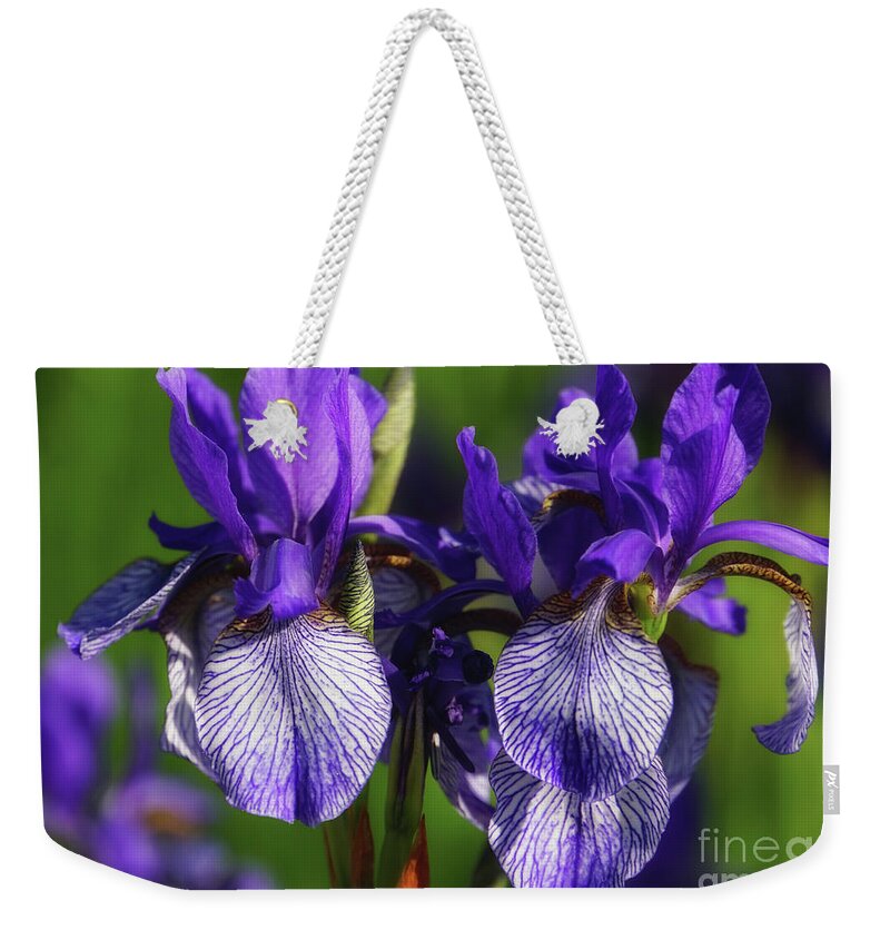 Purple Iris Doubled Weekender Tote Bag featuring the photograph Purple Iris Doubled by Rachel Cohen