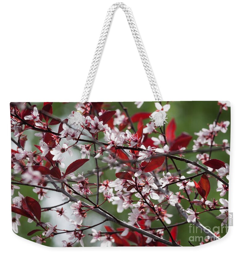 Tennessee Weekender Tote Bag featuring the photograph Purple Leaf Plum No. 1 by Todd Blanchard