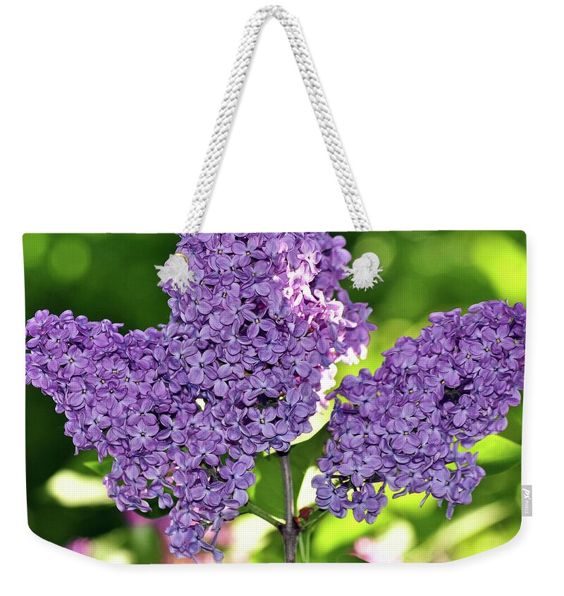 Purple Lilac Bush Weekender Tote Bag featuring the photograph Happy Easter - Purple Lilac Bush by Silva Wischeropp