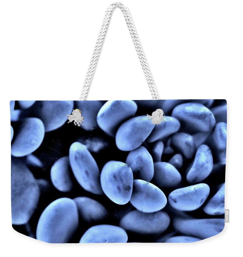 Succulent Garden Weekender Tote Bag featuring the photograph Purple Moon Drops by William Rockwell