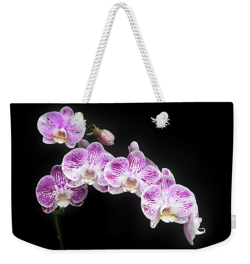 Hawaii Weekender Tote Bag featuring the photograph Purple on White on Black by Denise Bird