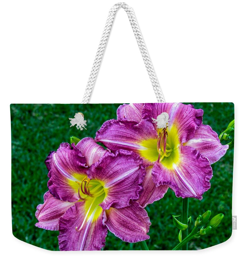 Flowers Weekender Tote Bag featuring the photograph Purple Pair by Nathan Little