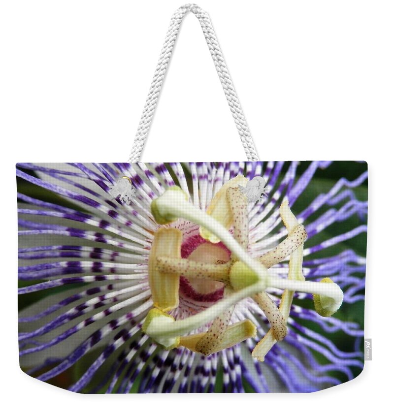 #3d Weekender Tote Bag featuring the photograph Purple Passion Flower by Belinda Lee